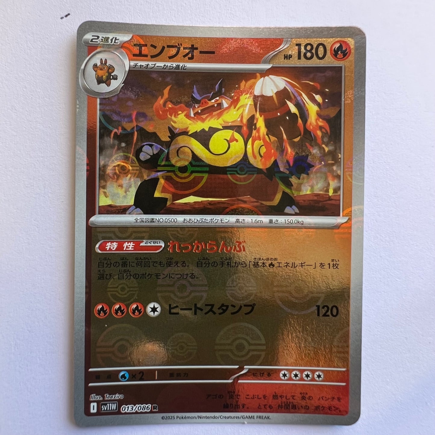#013 Emboar holo