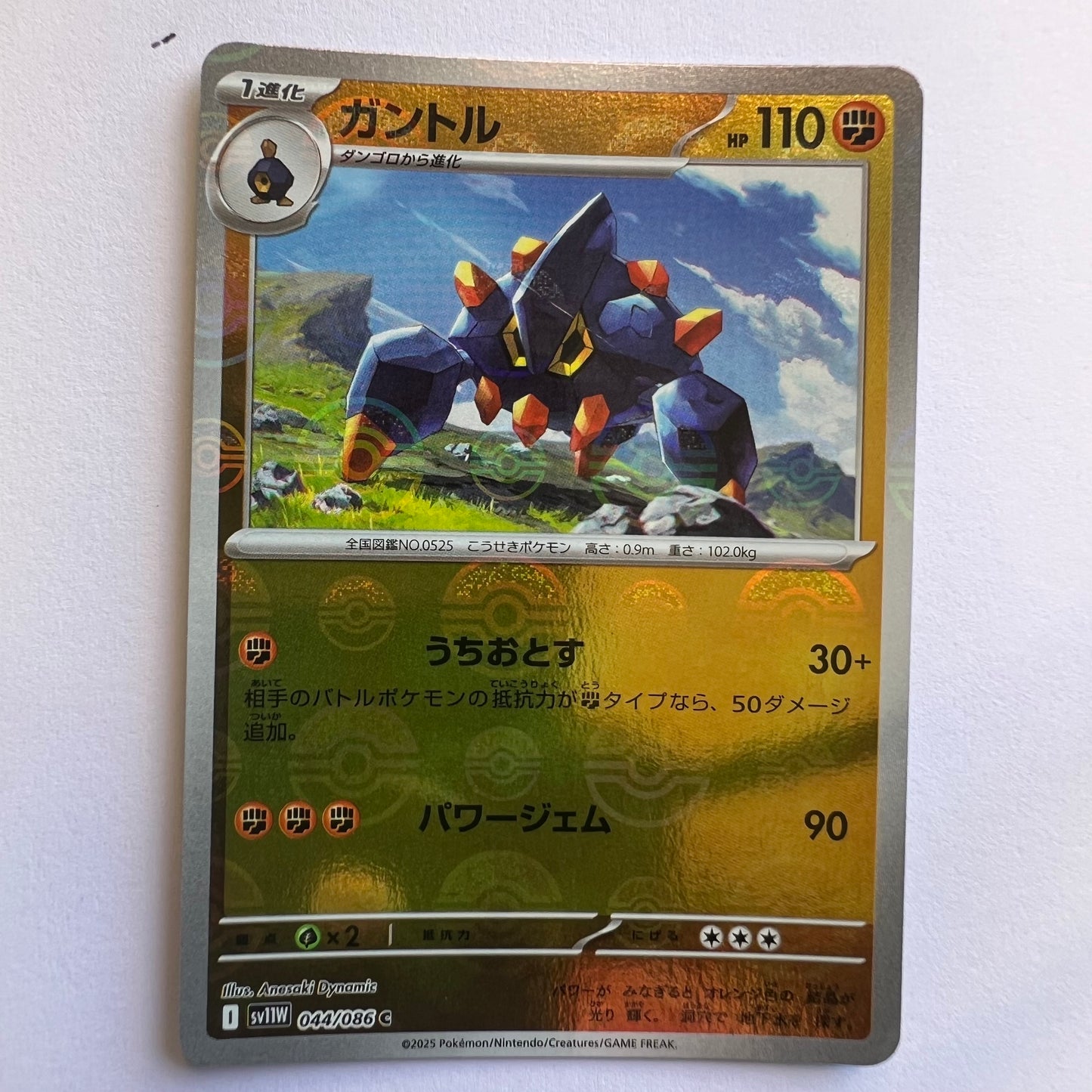 #044 Boldore holo