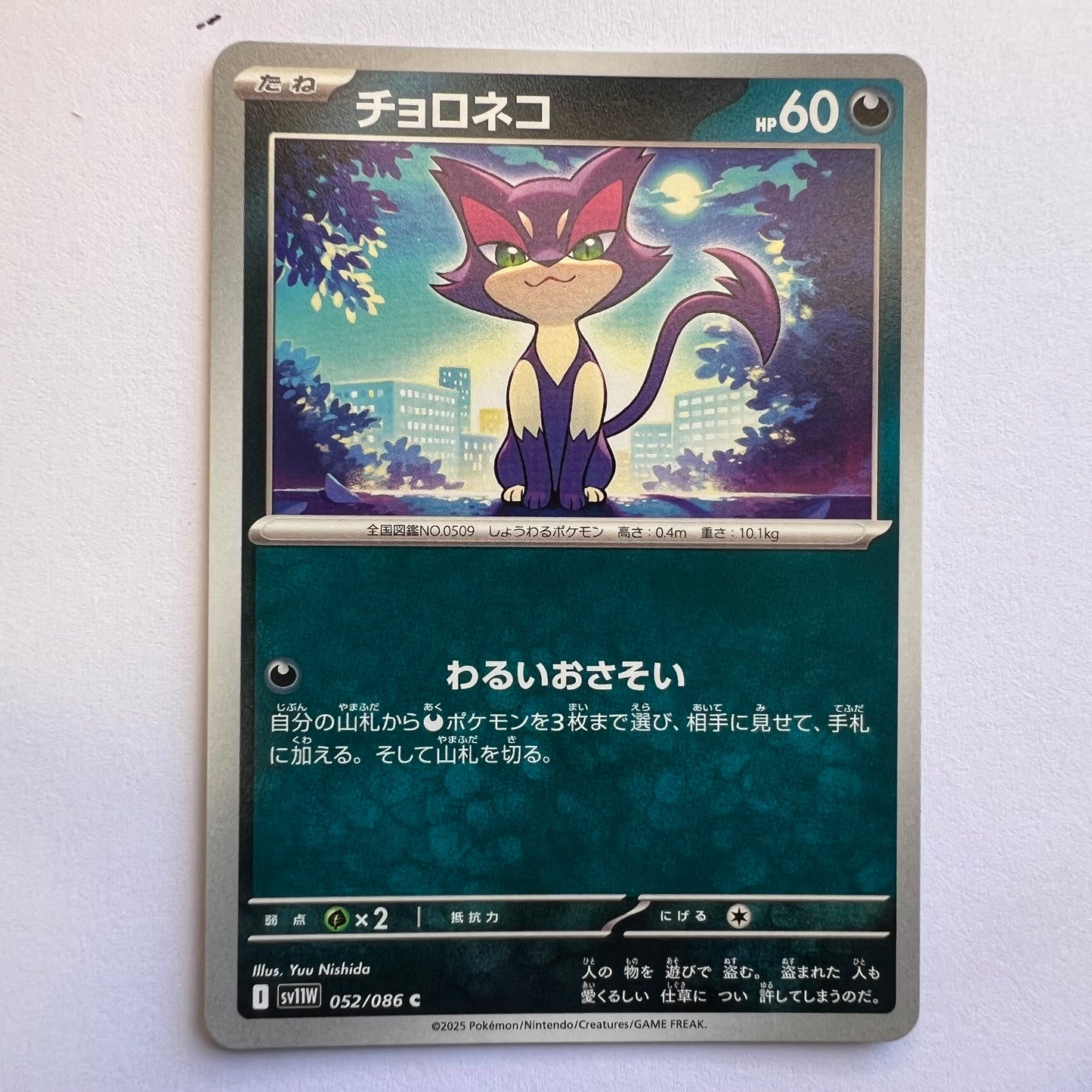 #052 purrloin