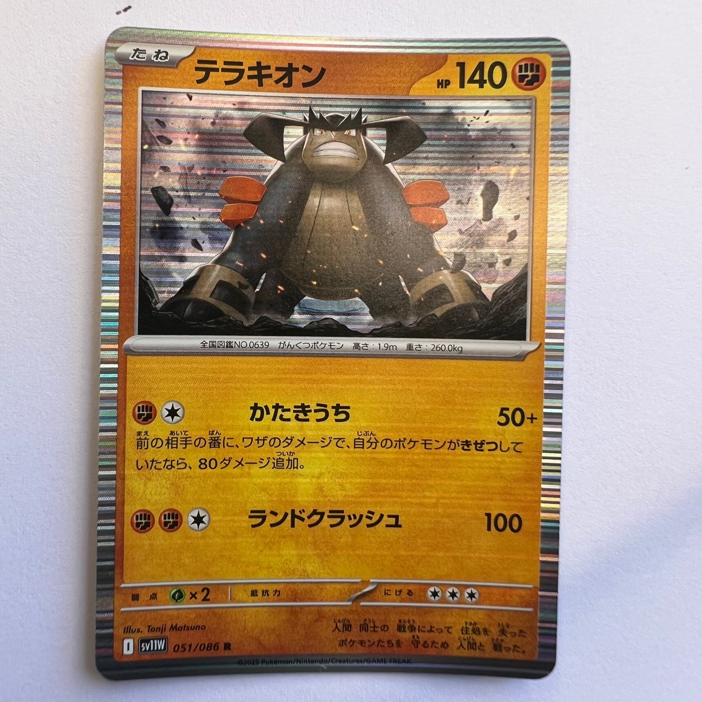 #051 Terrakion