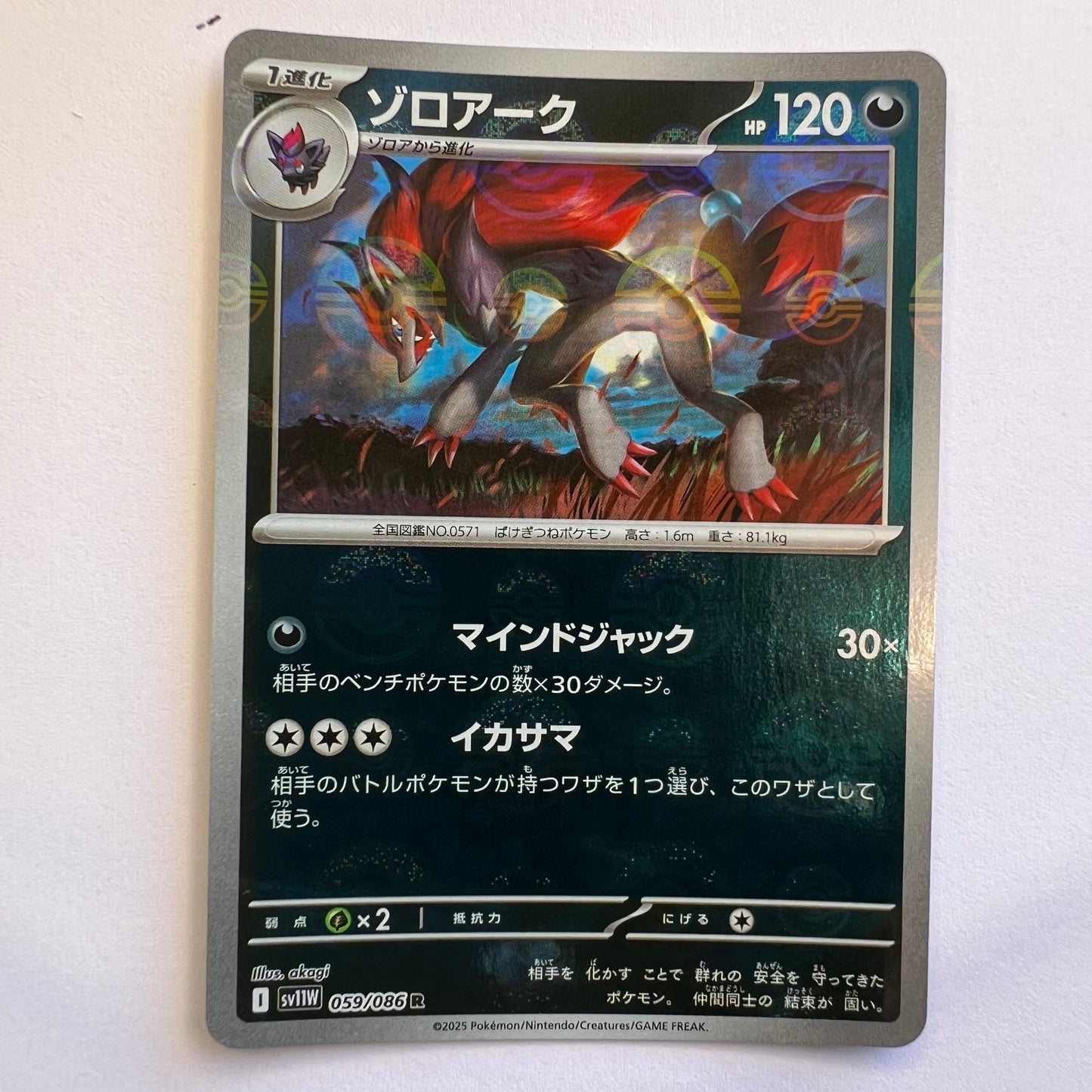 #059 zoroark