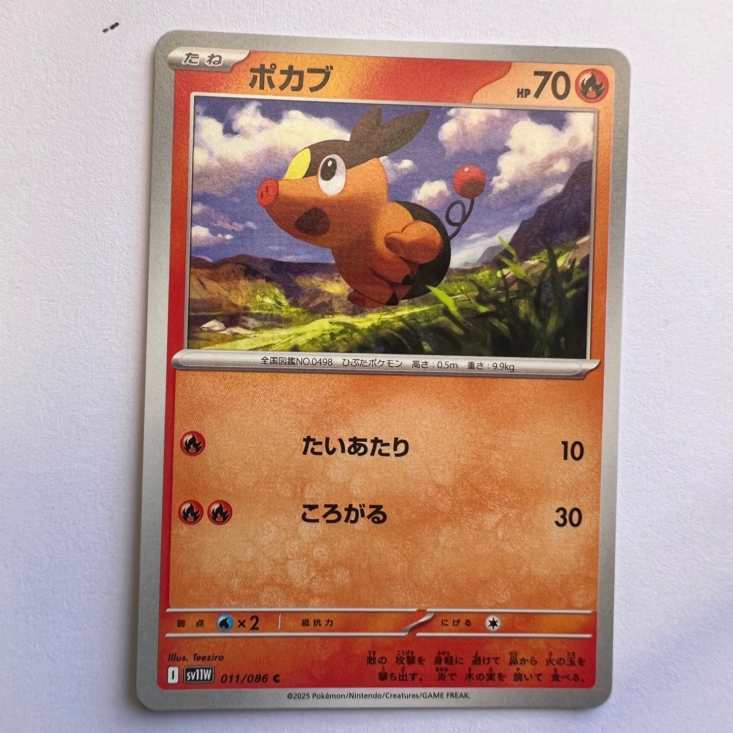 #011 Tepig