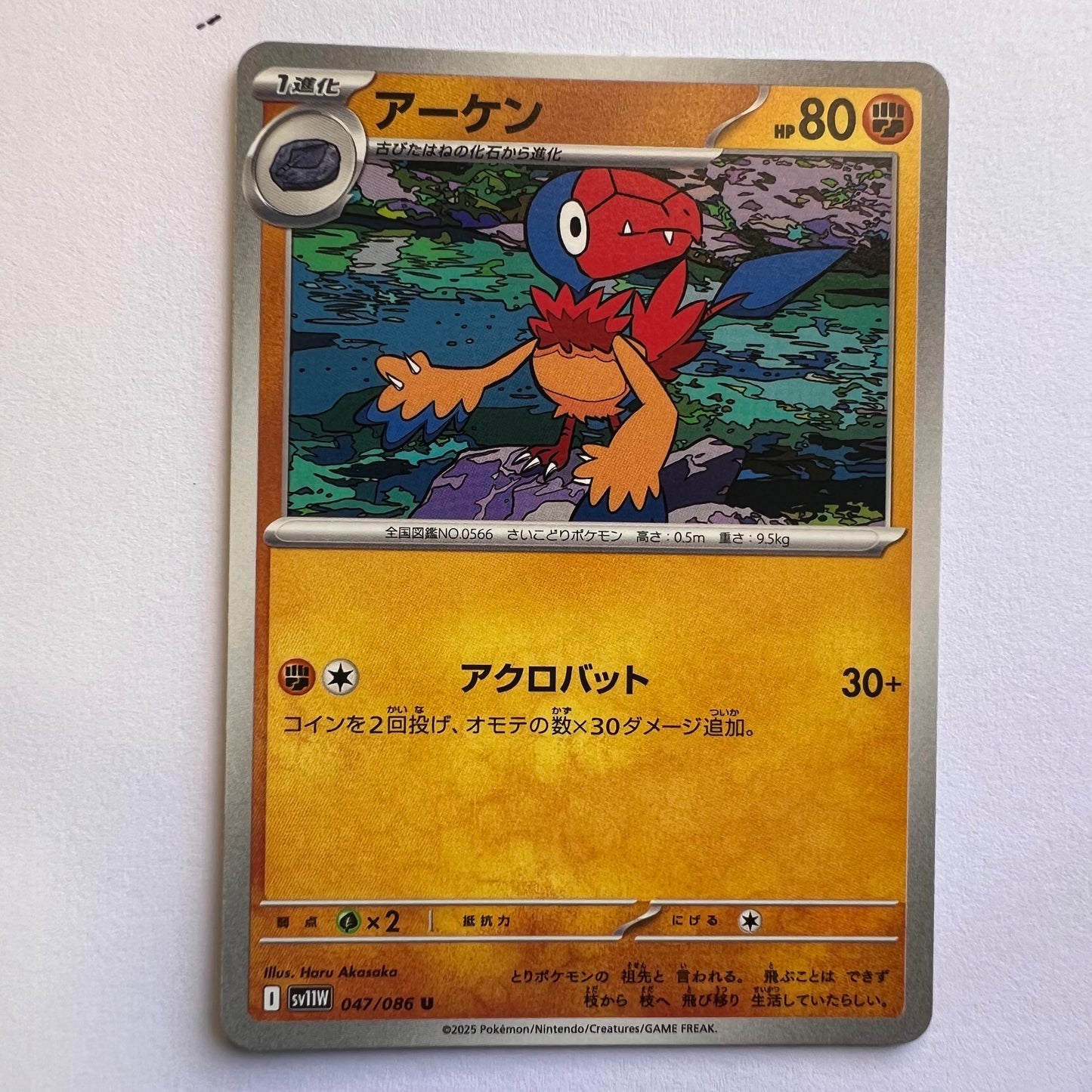 #047 archen