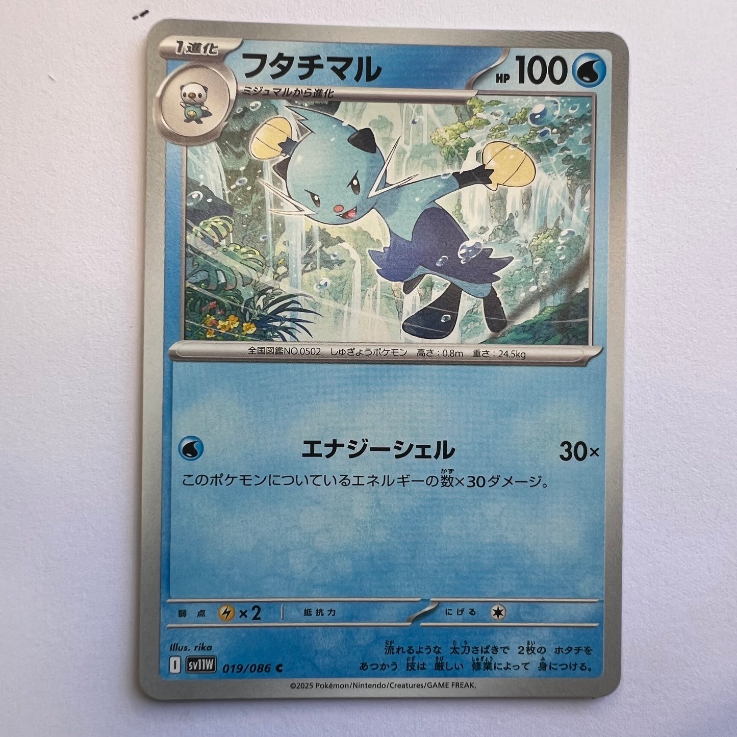 #019 Dewott