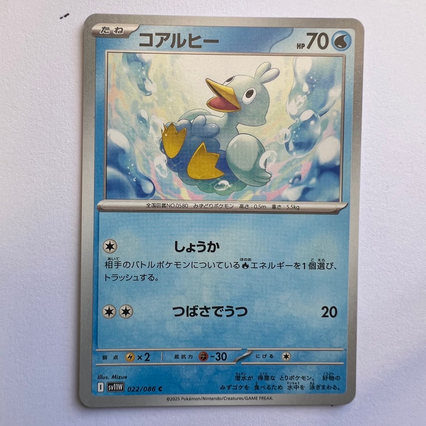 #022 Ducklett