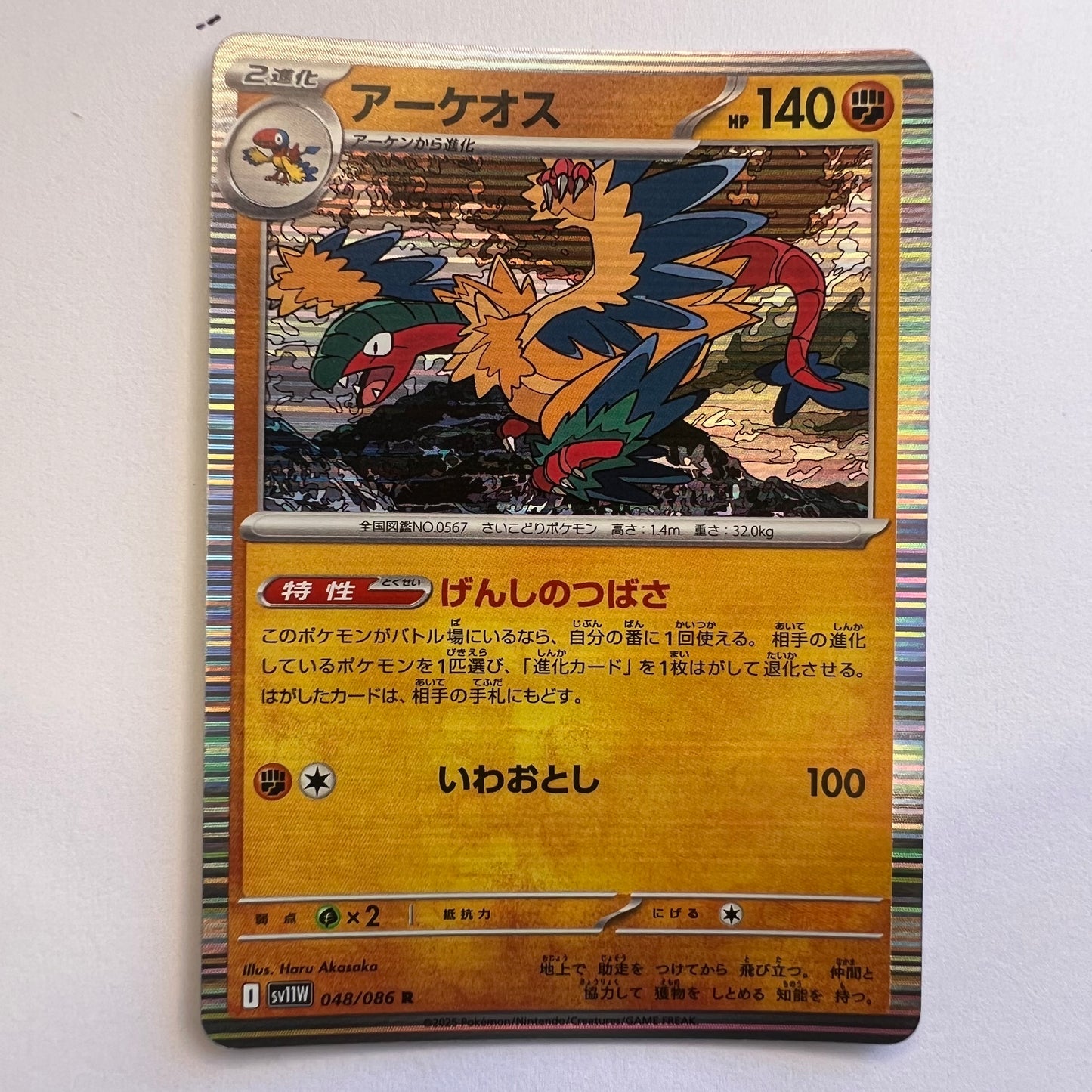 #048 Archeops reverse