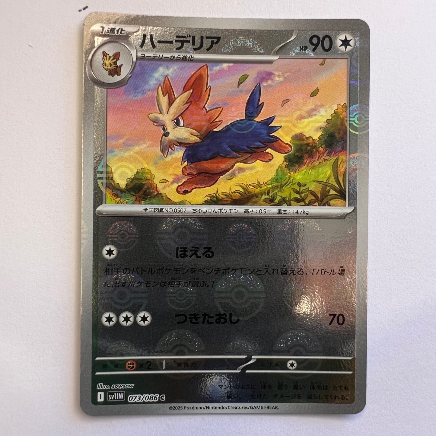 #073 Herdier holo