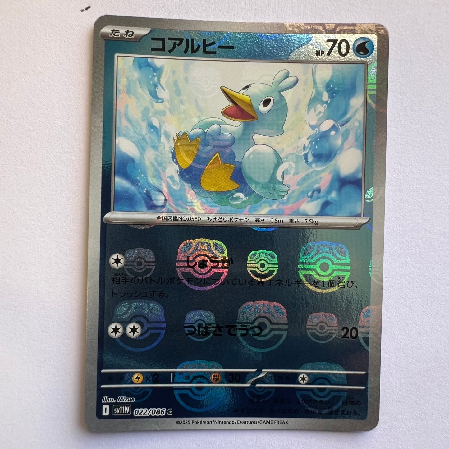 #022 Ducklett holo