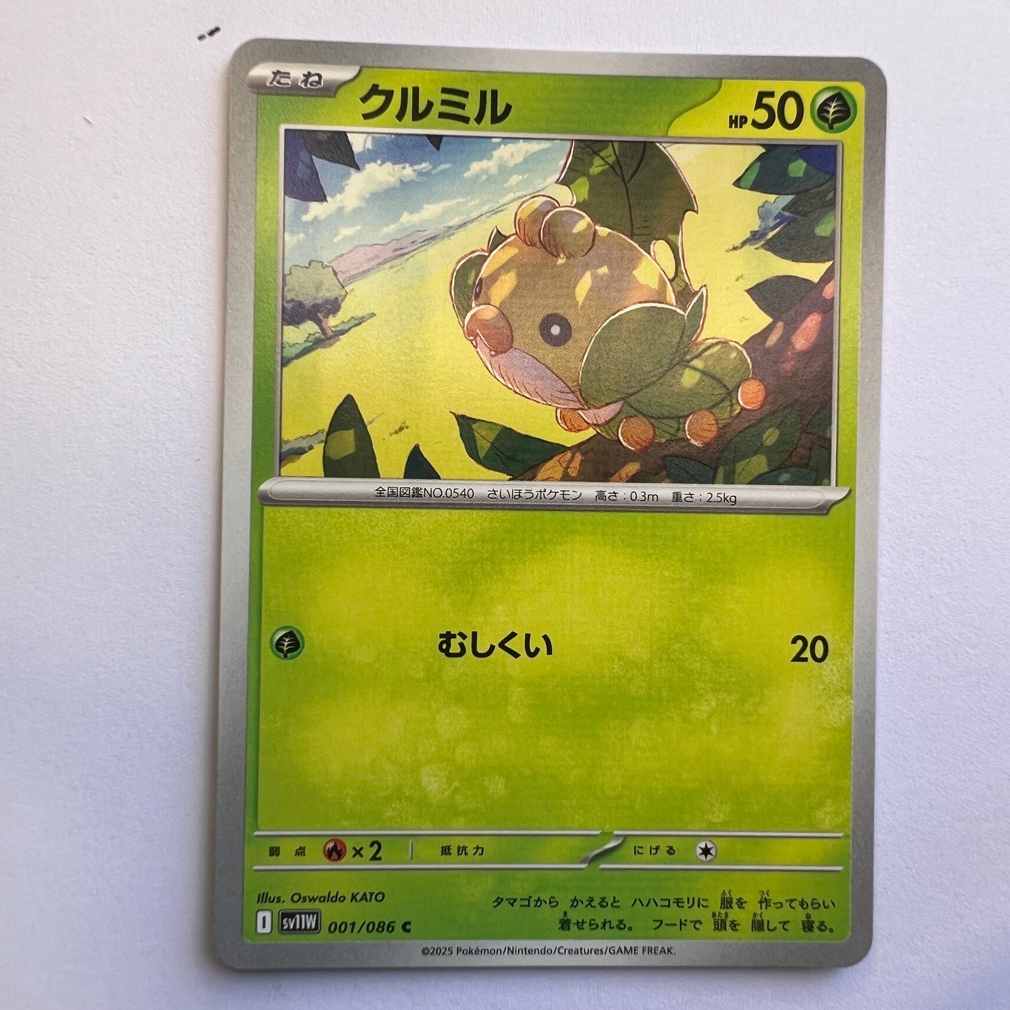 #001 Sewaddle