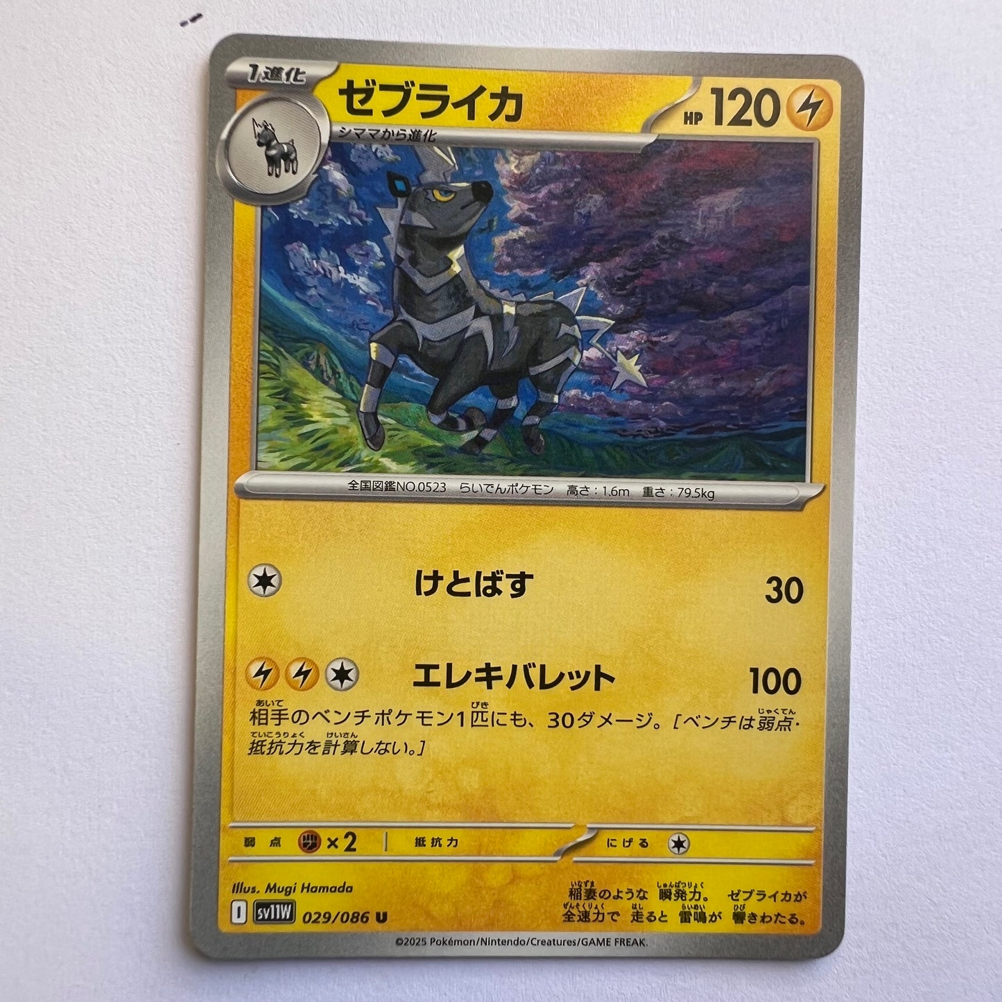 #029 Zebstrika