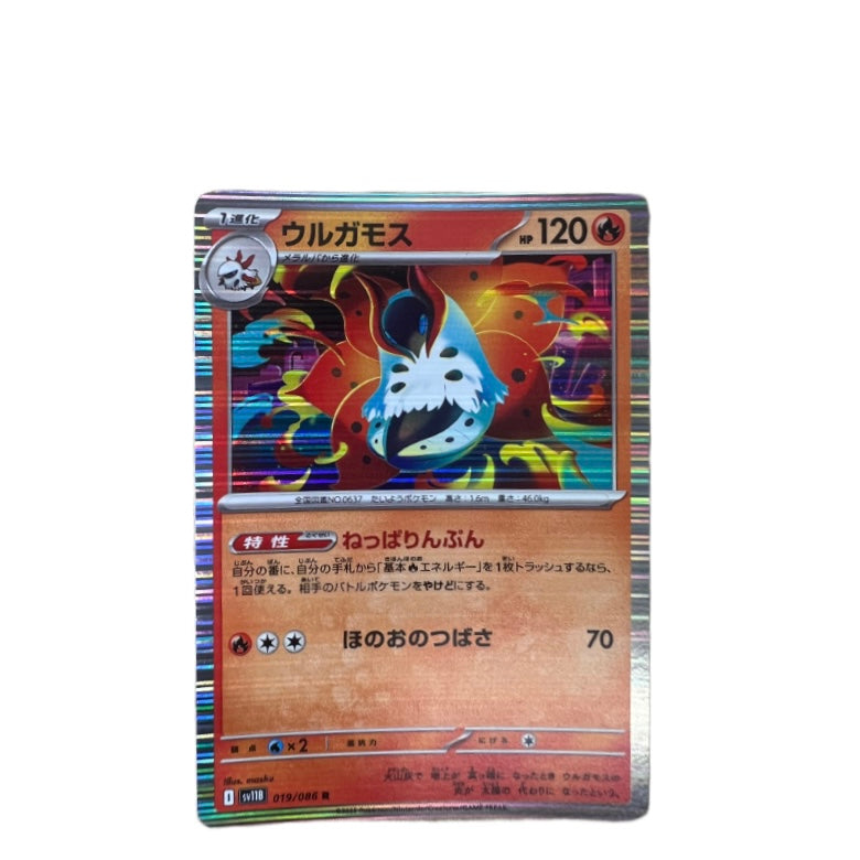 #019 VOLCARONA REVERSE