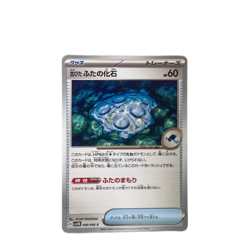 #080 FOSSIL TAPPO