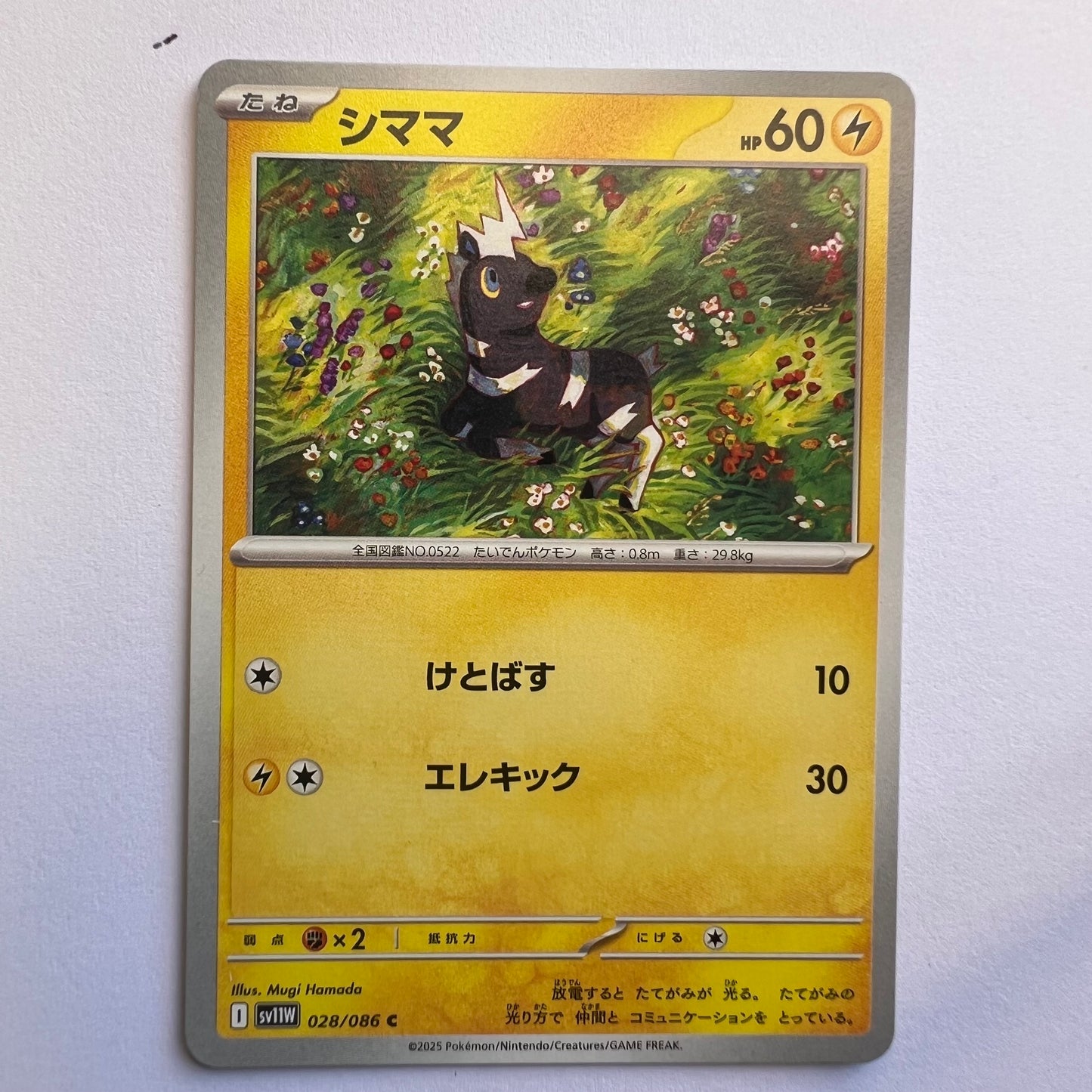 #028 Blitze