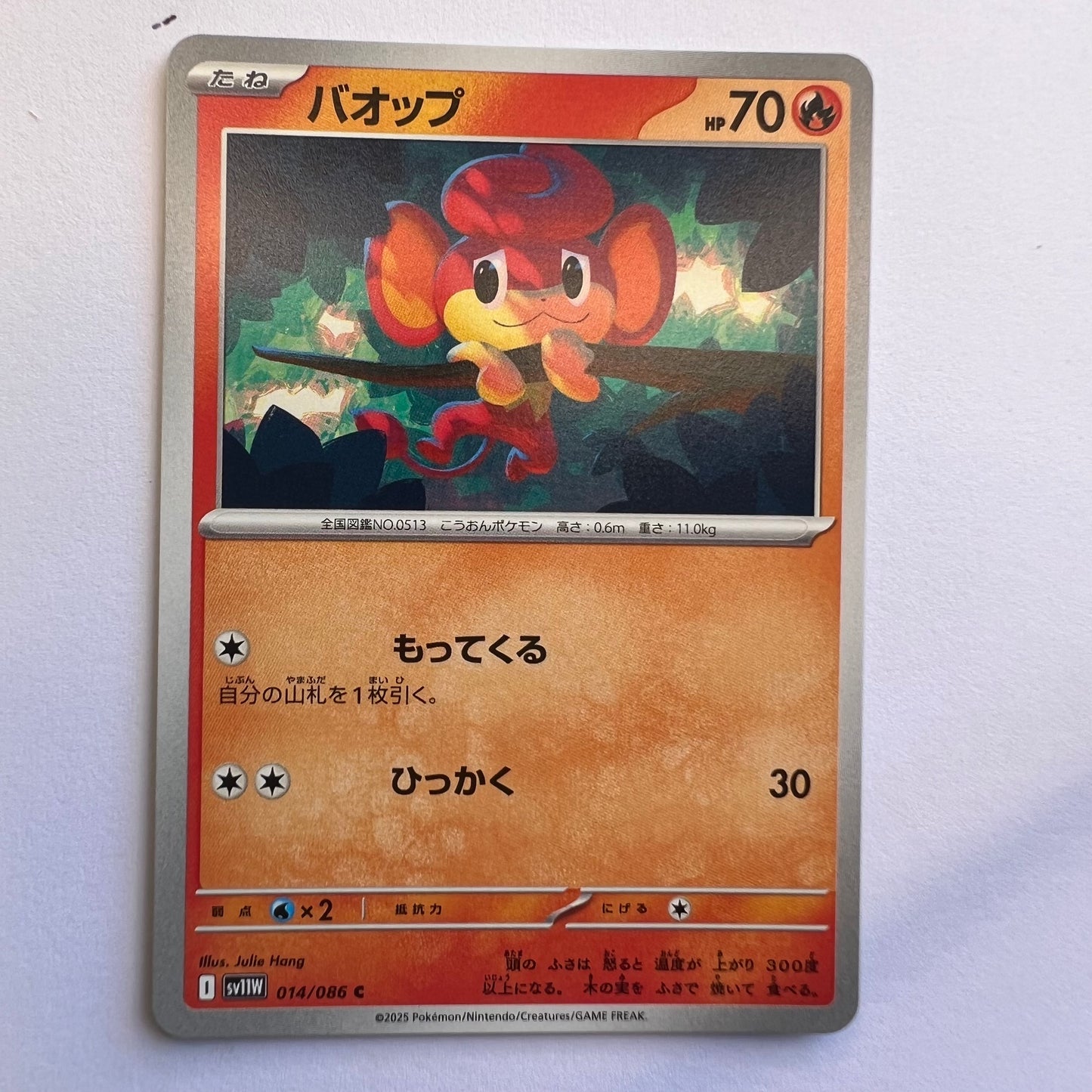 #014 Pansear