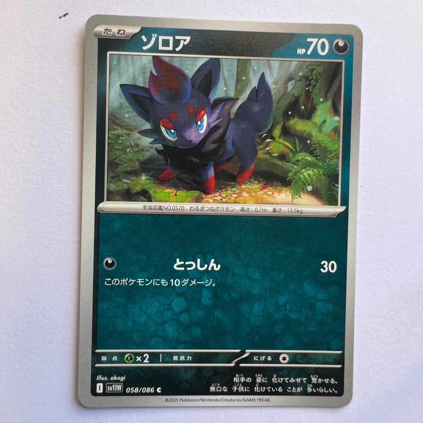 #058 zoroa