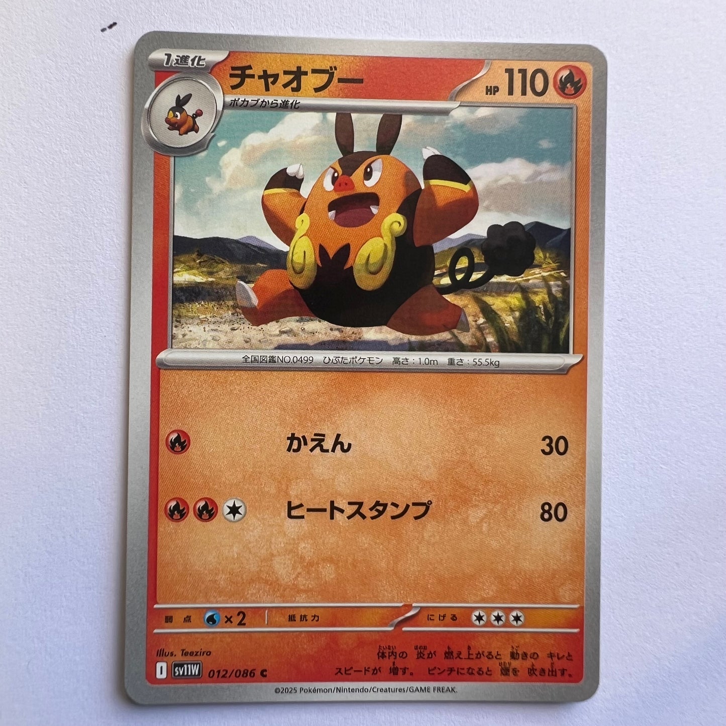 #012 Pignite