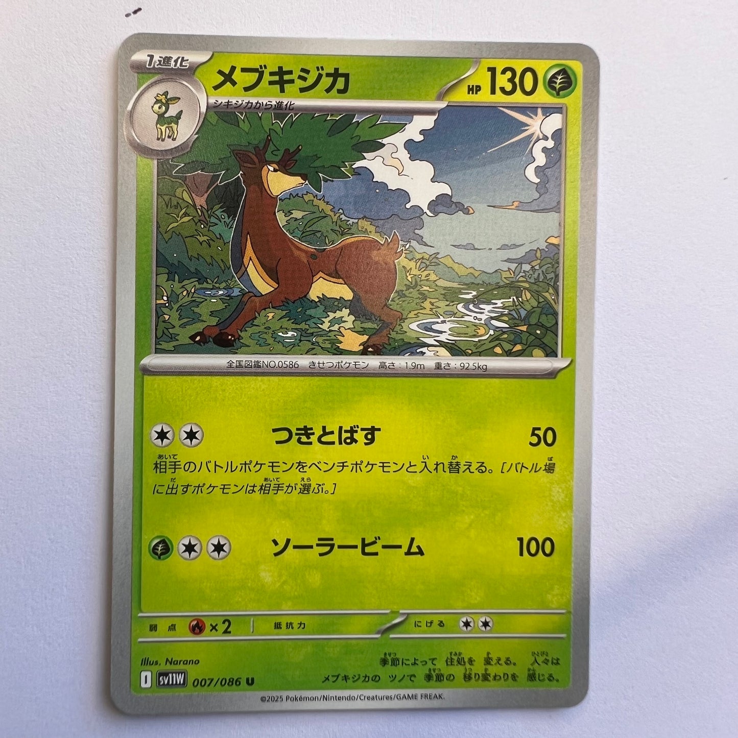 #007 Sawsbuck