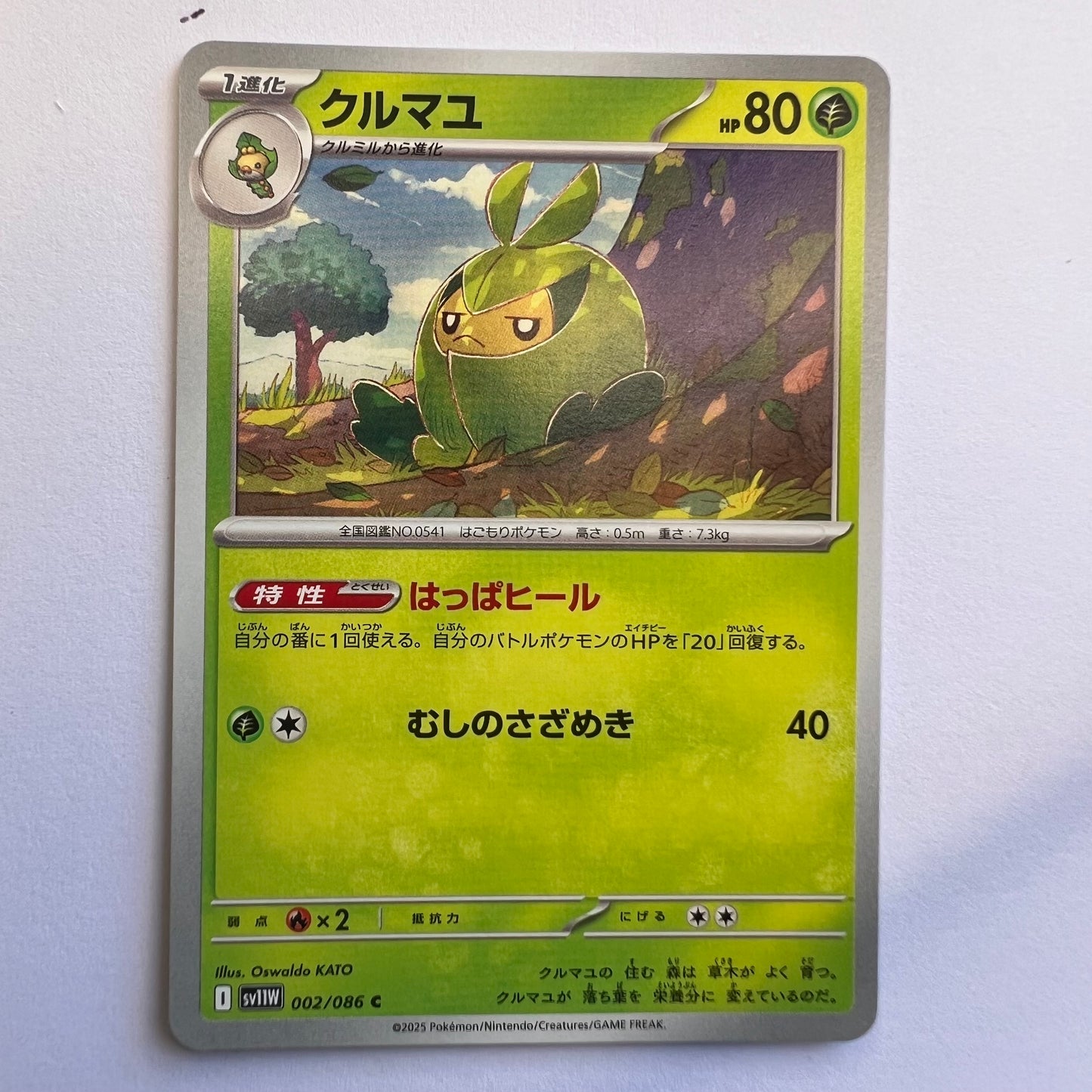 #002 swadloon