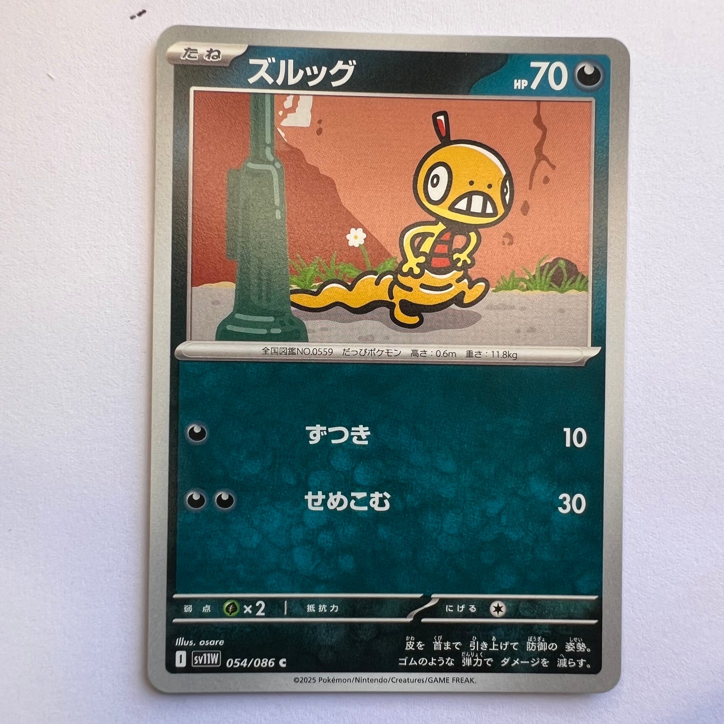#054 Scraggy