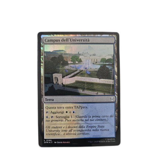 #L0186 - campus dell’università - foil