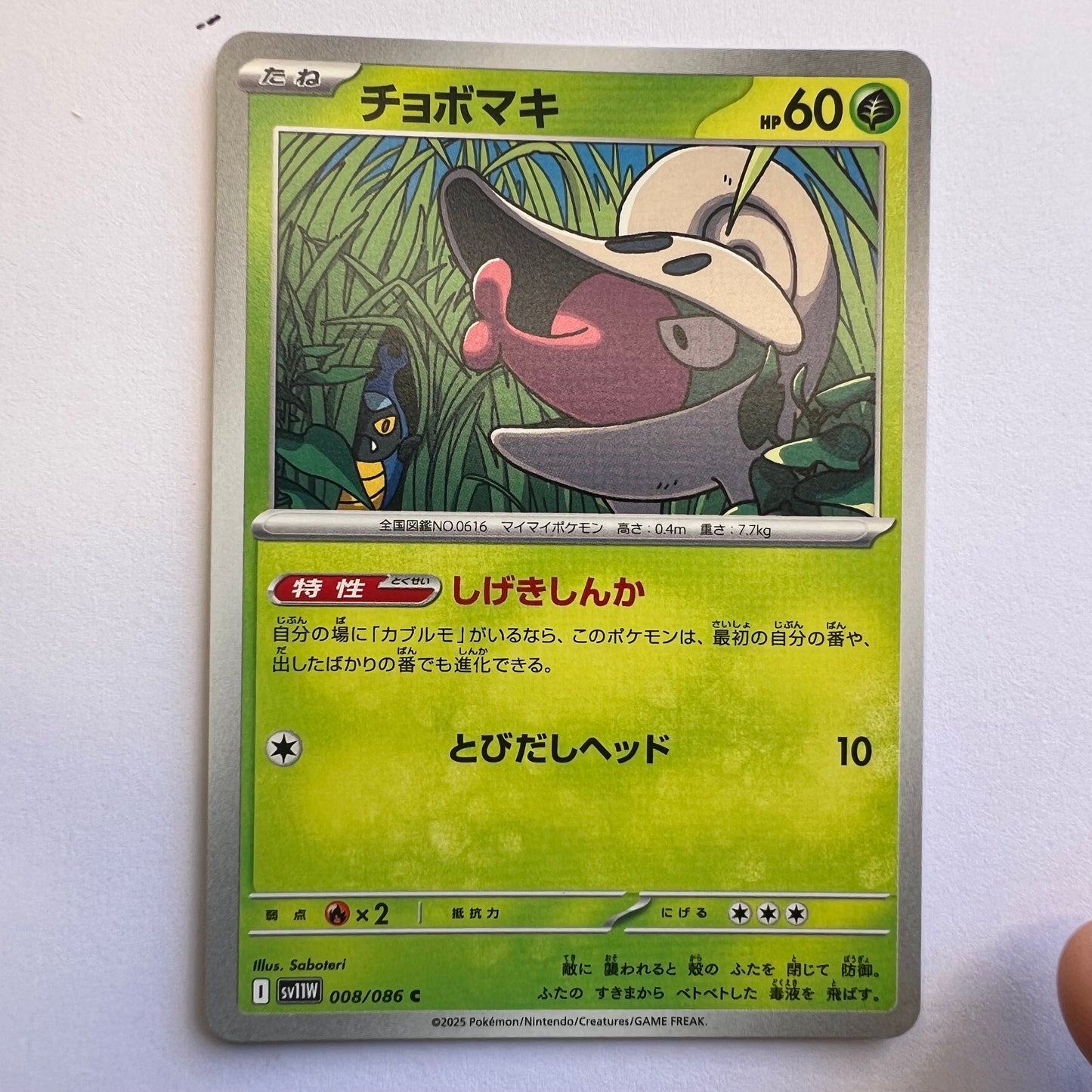 #008 Shelmet