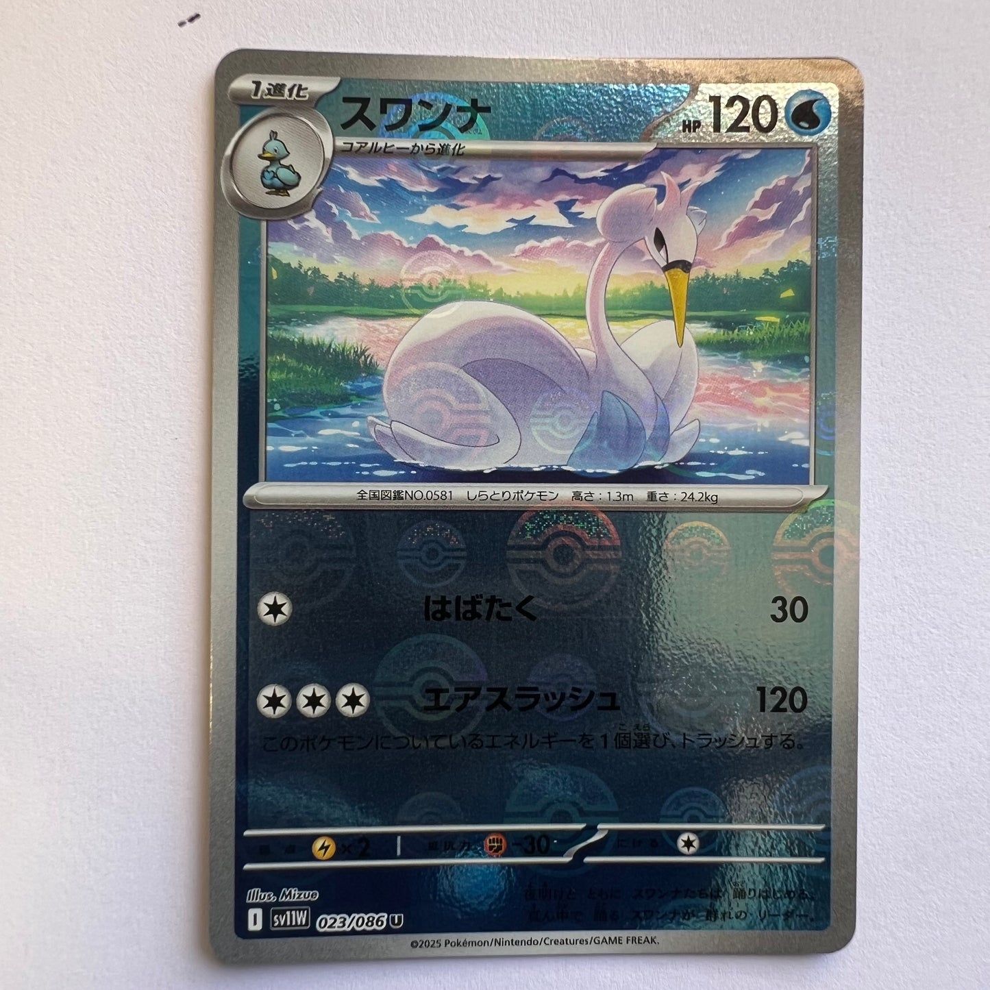 #023 Swanna holo