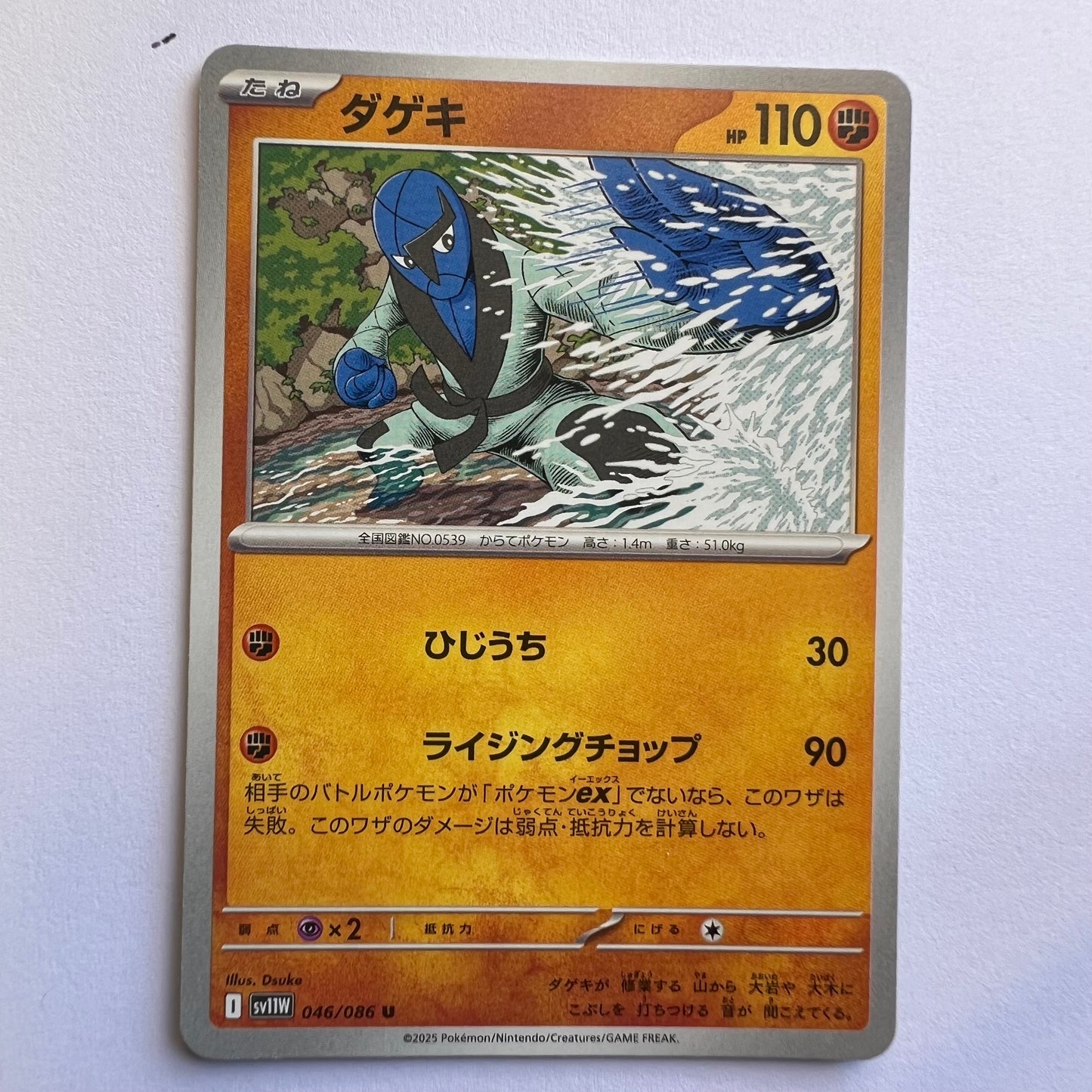#046 Sawk
