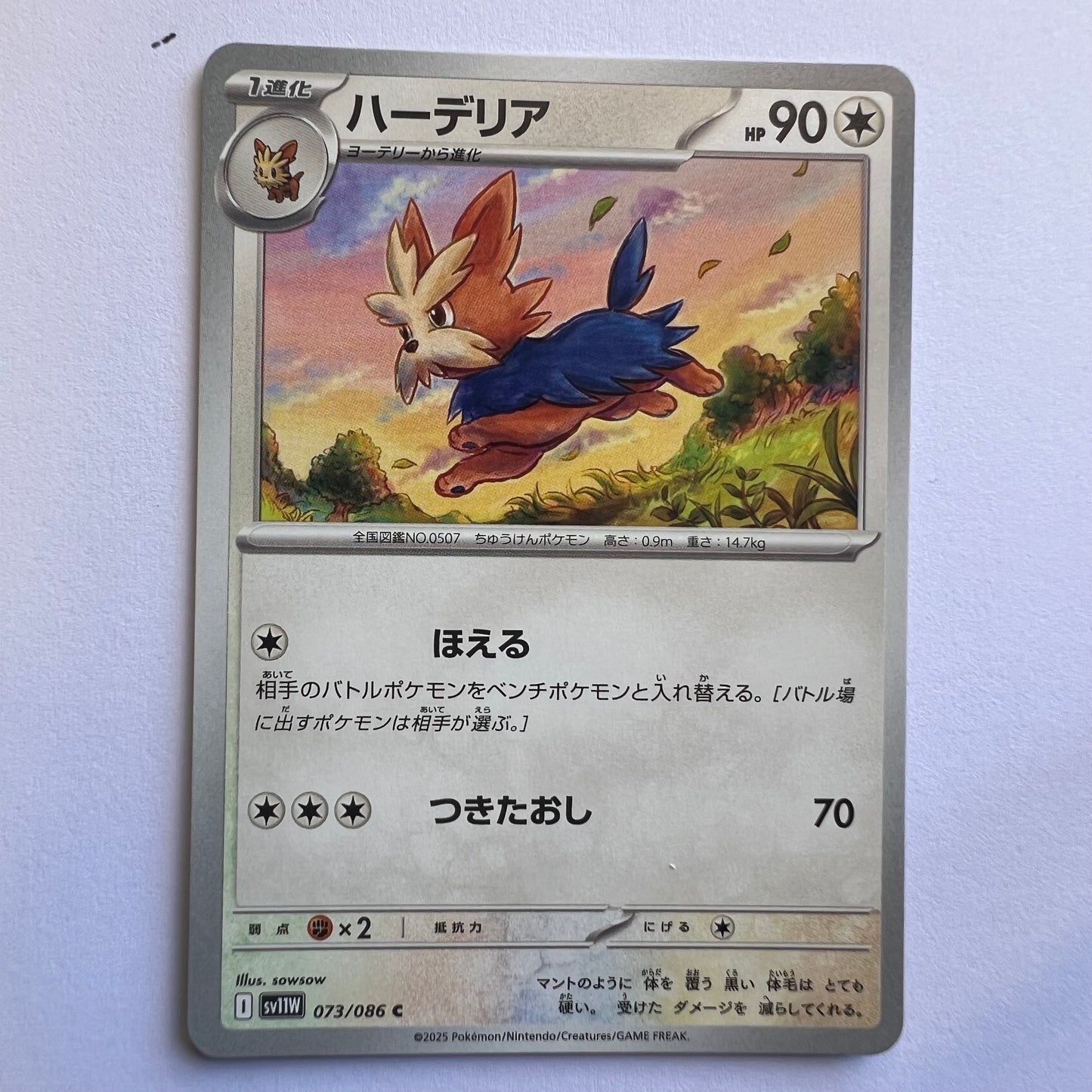 #073 Herdier