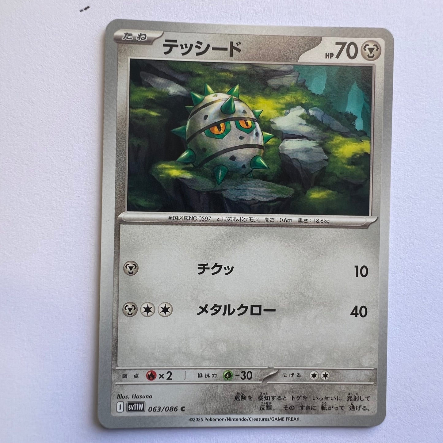 #063 Ferroseed