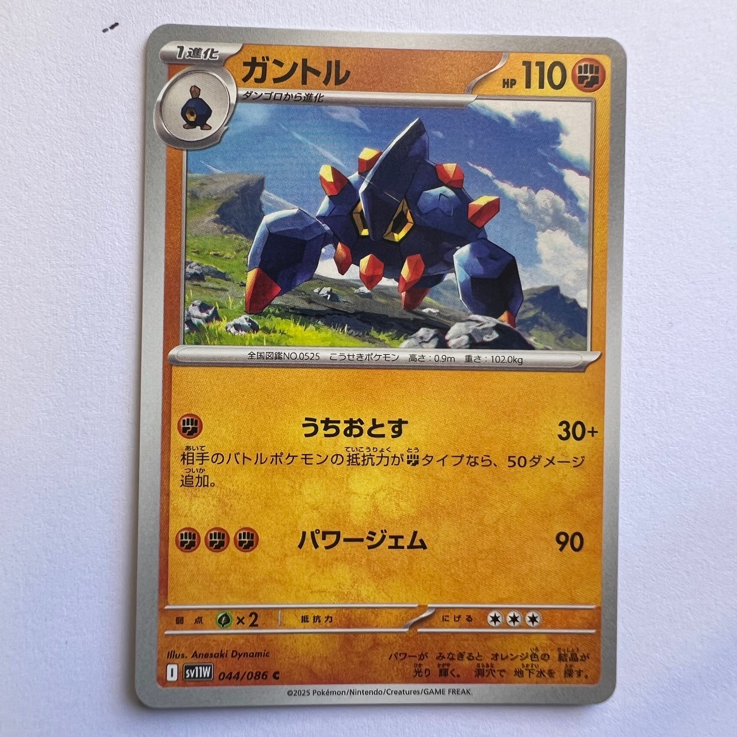 #044 Boldore